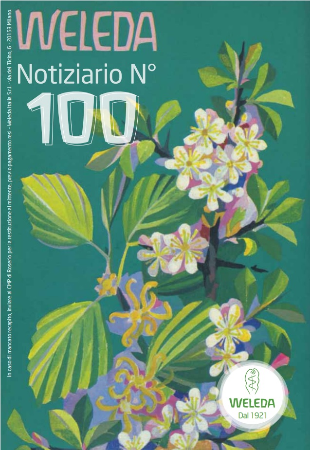 Reincarnazione - Molte vite,molti maestri -Memorie - Libri e Riviste In  vendita a Roma