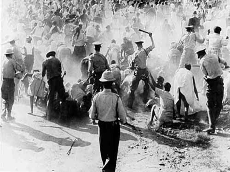 Aggressività sociale e guerre