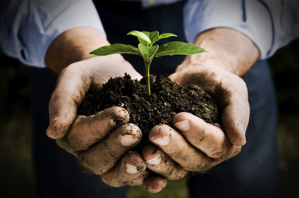 Agricoltura Biodinamica - corso base