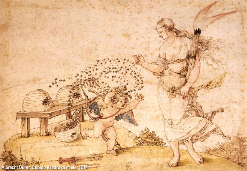 Cupido il ladro di miele - Albrecht Durer (1514)