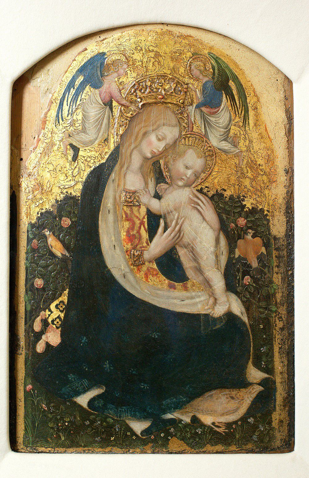 Madonna della Quaglia di Pisanello