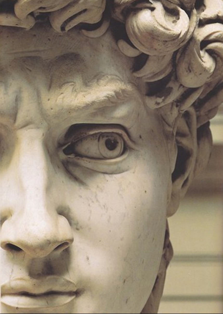 Il David di Michelangelo - particolare