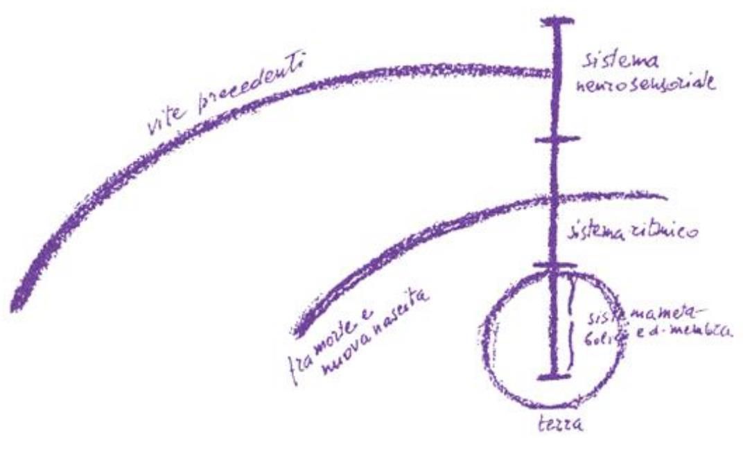 Linea di ricerca sul karma