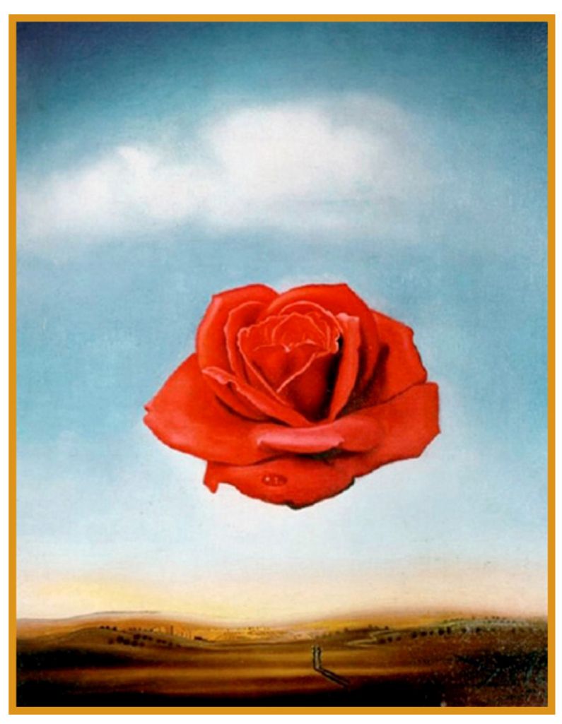 Sfogliare i petali della vita - la rosa di Goethe